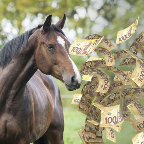 بخش های امور مالی