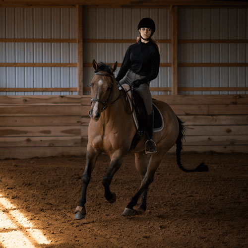 بخش های تعاریف