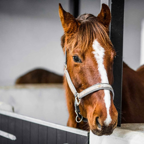 تعیین حق پانسیون