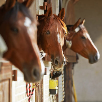 ورود به باشگاه