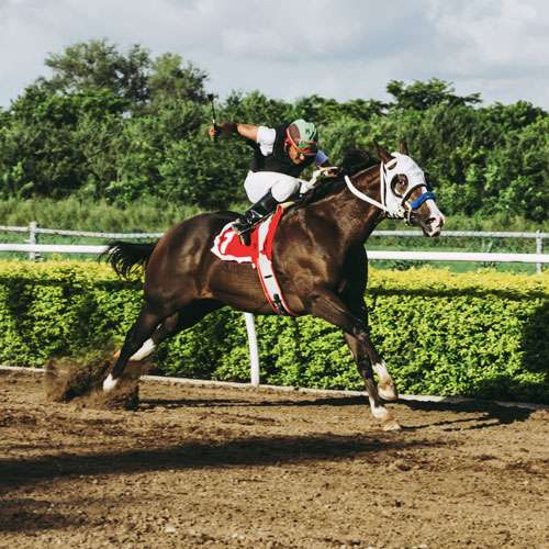 تعریف نوع مسابقات