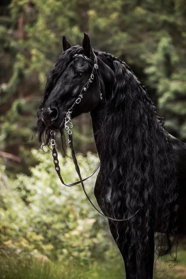 آموزش ثبت فعالیت ها و فعالیت 