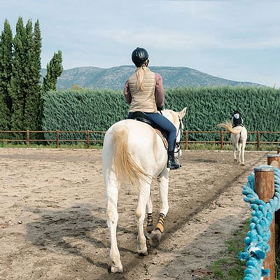 خروج از باشگاه اسب